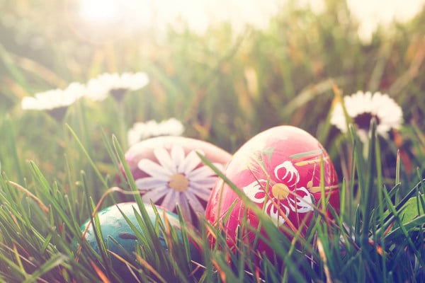 Spring is on its way! Here are 5 great reasons to scoop up an egg-cellent last minute break at one of our Easter cottages...